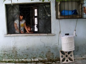 1400 households, 450 Biogents traps, uncounted dengue mosquitoes - a long-term study in Manaus, Brazil